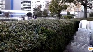 《法国空乘1满天星》完整版免费在线观看-历史剧